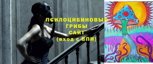 молекула духа Алексин