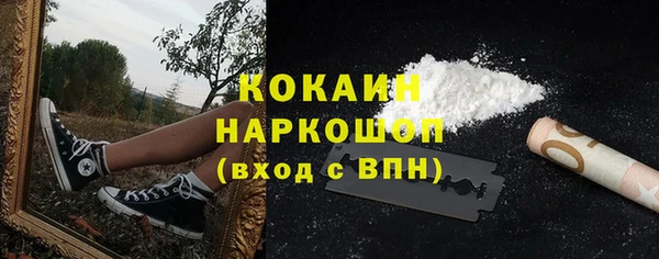 молекула духа Алексин