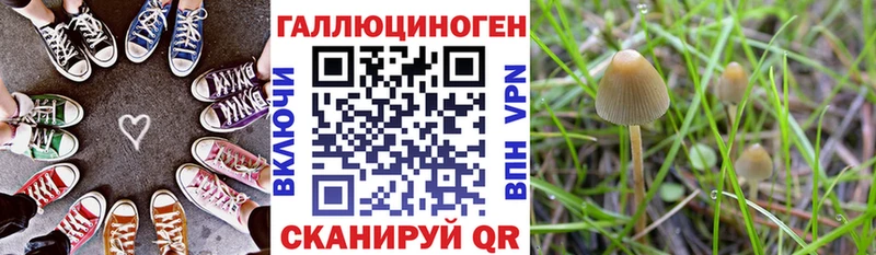 Псилоцибиновые грибы Psilocybine cubensis Вологда